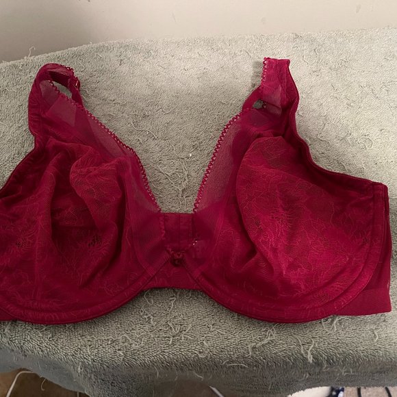 Cacique Intimates & Sleepwear Cacique Plunge Bra Nwot Poshmark